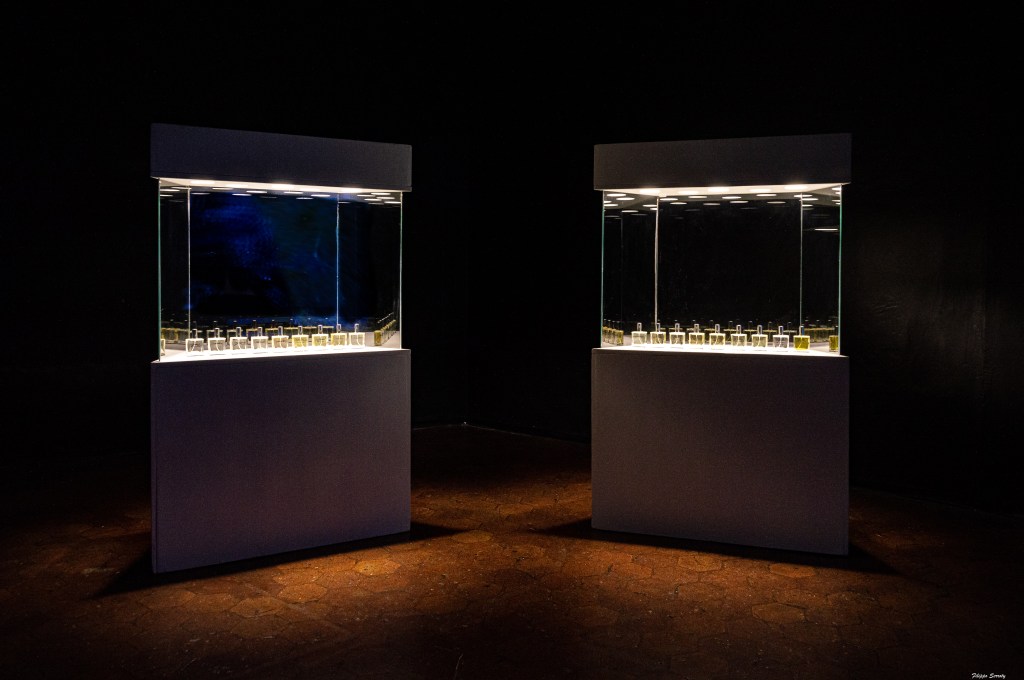 Smell Maneuvre (2023)